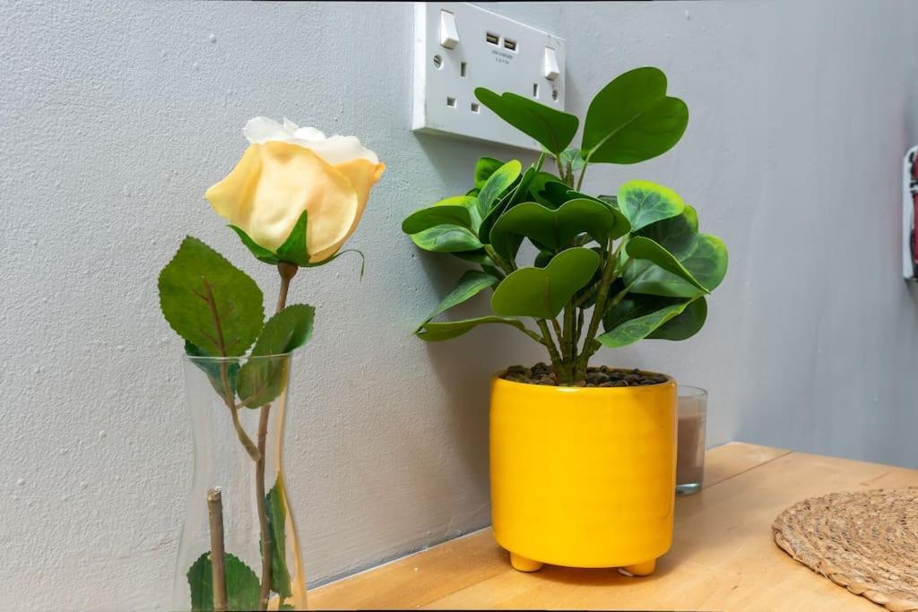 Tranquil Studio In Harlesden